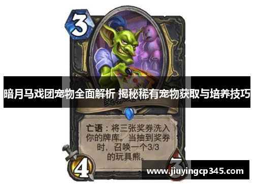 暗月马戏团宠物全面解析 揭秘稀有宠物获取与培养技巧